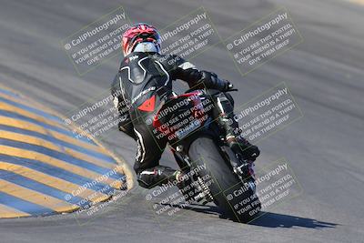 media/Nov-12-2023-SoCal Trackdays (Sun) [[5d1fba4e7d]]/Turn 10 Backside (115pm)/